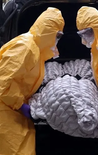 Koronavirüs hurafeleri yüzünden yüzlerce kişi öldü! Deve idrarı, inek dışkısı ve alkol içenler...