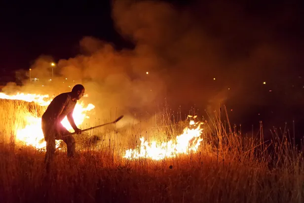 Et ve Süt Kurumu bahçesinde çıkan yangına TOMA'lı müdahale-1