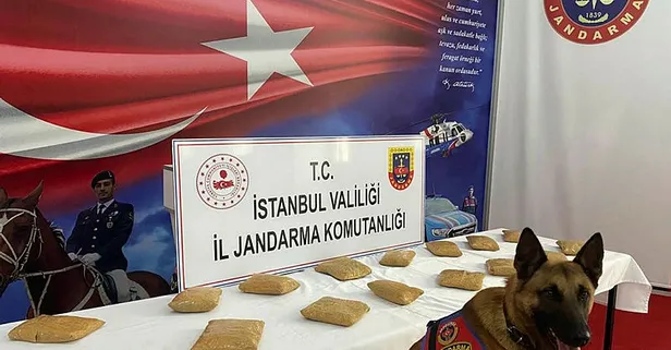 İstanbul'da bal tenekesine gizlenmiş 14 kilogram eroin bulundu