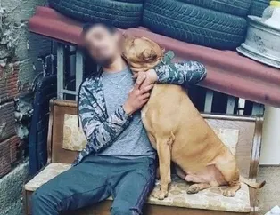 İstanbul Pendik'te denize giren genç Pitbull dehşeti yaşamıştı! Mahkemeden çok tartışılacak karar! Pitbull değil Oğuzhan kusurlu
