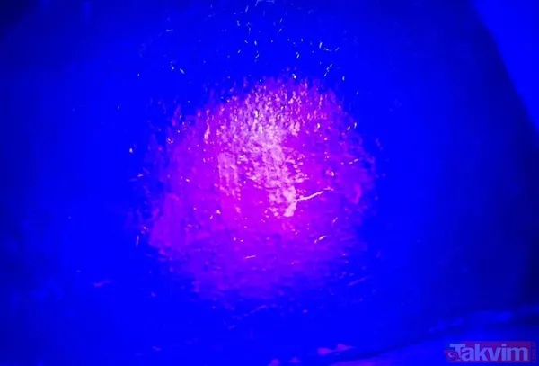 5 milyon euro istiyor! Antikacıdan aldığı tablonun Salvador Dali'ye ait olduğunu iddia etti - 11