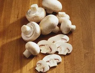 Mantarlı koruma