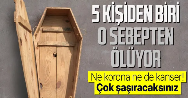 Harvard Üniversitesi'nden çarpıcı araştırma! Dünya genelinde her 5 ölümden birinin nedenine şaşıracaksınız