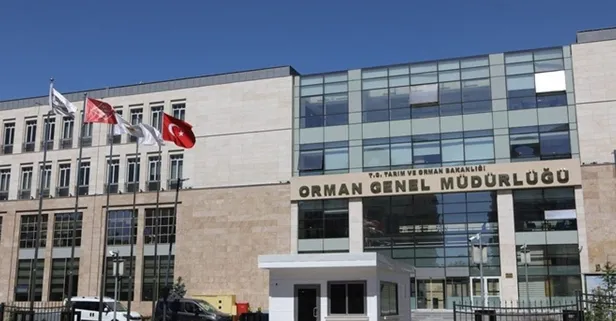 Orman Genel Müdürlüğü 338 sözleşmeli personel alacak