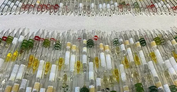 Hatay'da 152 tüp kobra zehri ortak operasyonla ele geçirildi!