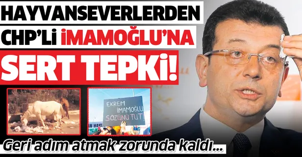 Hayvanseverlerden CHP'li İmamoğlu'na sert tepki! Geri adım atmak zorunda kaldı...
