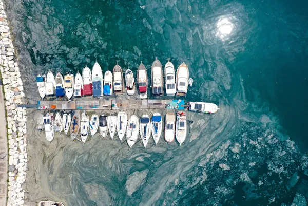 son-dakika-marmara-denizindeki-musilaja-karsi-balikcilarin-b-plani-afrikaya-acilmak-1624861743951.jpg SON DAKİKA: Marmara Denizi'ndeki müsilaja karşı balıkçıların B planı: Afrika'ya açılmak-5