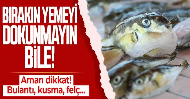 Bırakın yemeyi dokunmayın bile