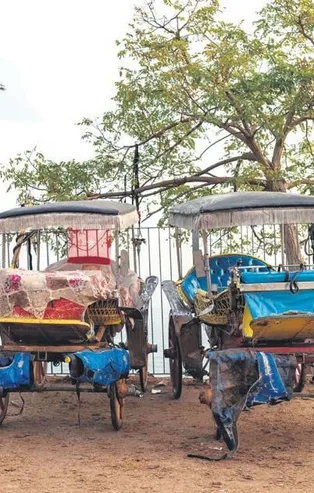 Büyükada’da Ruam paniği! Tüm otel rezervasyonları iptal!