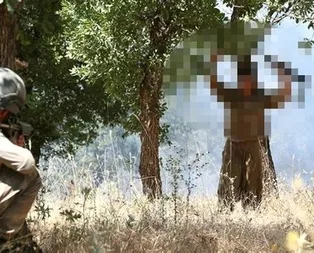 Şırnak’ta 5 terörist teslim oldu