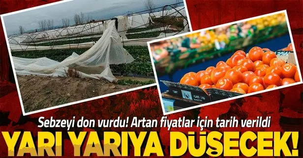 Sebzeyi don vurdu: Artan fiyatlar mart ayında yarı yarıya düşecek!