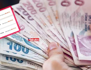 Son dakika banka mevduat faizleri uçuş moduna geçti! Faizler alev gibi parladı! 30.000 TL birikimi olan 32 günlük faizle kaç TL kazanır?