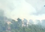 Antalya'da orman yangını