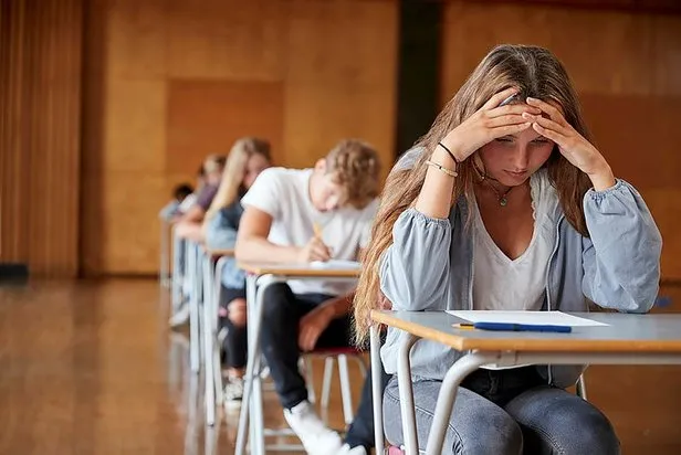 e kurs dyk ogrenci basvuru formu 2021 6 sinif ve 10 sinif dyk kurs basvuru eba ekrani meb 6 ve 10 sinif dyk kurs plani takvim