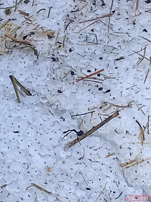 SON DAKİKA: Edirne'de sabaha karşı dolu yağdı! 10 bin dekar çeltik ziyan oldu - 9