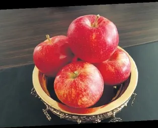 Niğde elması destekleniyor