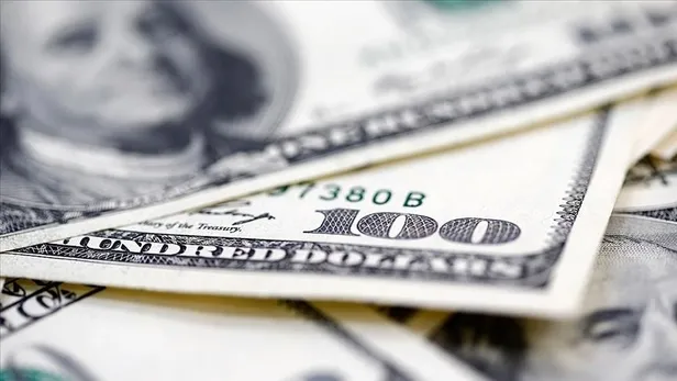 Merkez Bankası 5. müdahalenin miktarını açıkladı: 2,12 milyar dolar-4