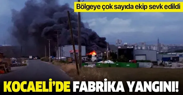 Son dakika: Kocaeli Gebze’de fabrika yangını