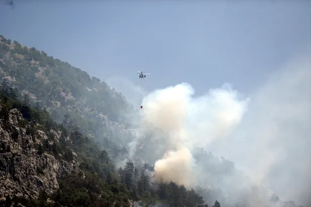 İzmir ve Alanya'da orman yangını-1