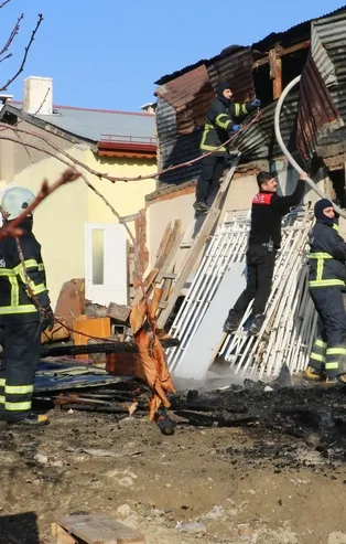 Sivas'ta yavru kangallar telef oldu