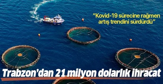 Trabzon’da yapılan su ürünleri ve mamülleri ihracatı Kovid- 19 sürecine rağmen yüzde 93 arttı