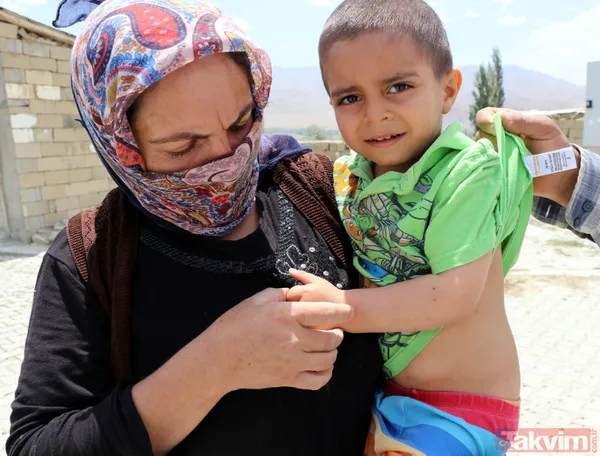 Mahalleyi bit pire sivrisinek bastı! Vatandaşlar geceleri uyuyamıyor - 14