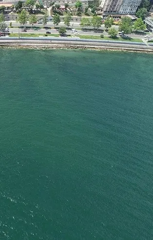 İletişim Başkanı Fahrettin Altun'dan 'Müsilaj' temizliğine ilişkin paylaşım: Büyük değişim umut verici