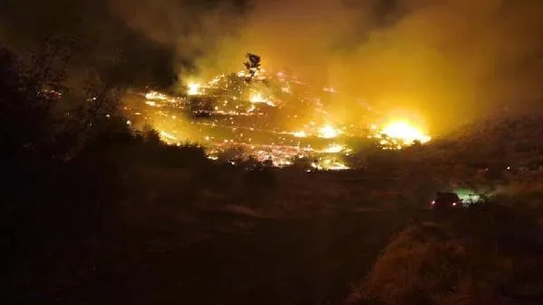 Muğla'daki orman yangını kontrol altına alındı-2