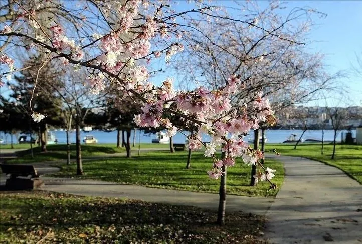 Türkiye’de hava nasıl olacak?