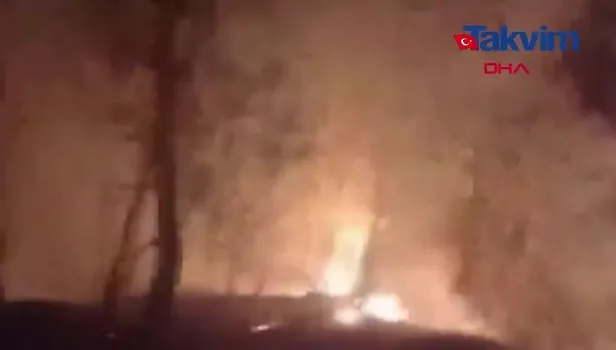 Samsun'da orman yangını! 7 hektarlık alan zarar gördü