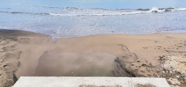 son-dakika-marmara-denizinden-sonra-karadenizde-de-musilaj-deniz-salyasi-goruldu-uzmanlar-uyardi-boyle-giderse-kaplanir-1623048487924.jpg SON DAKİKA: Marmara Denizi'nden sonra Karadeniz'de de müsilaj (deniz salyası) görüldü! Uzmanlar uyardı: Böyle giderse kaplanır-5