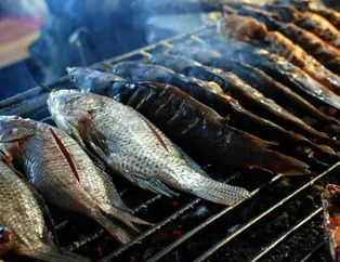 Balık tüketirken nelere dikkat edilmeli?