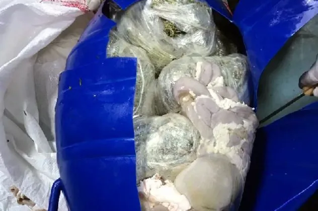 SON DAKİKA: Zehir tacirlerinden akılalmaz yöntem: Dondurulmuş şırdan bidonunda uyuşturucu sevkiyatı
