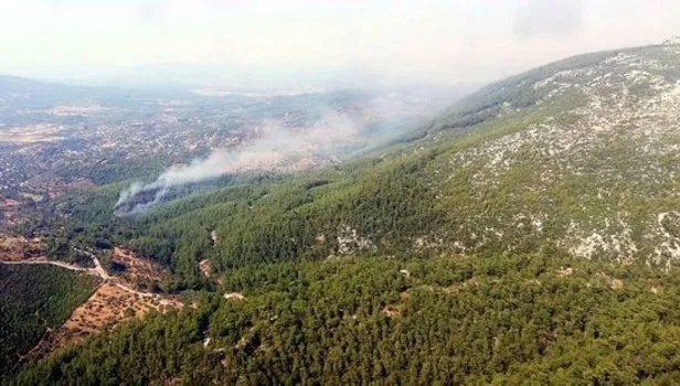 Muğla'da orman yangını Video