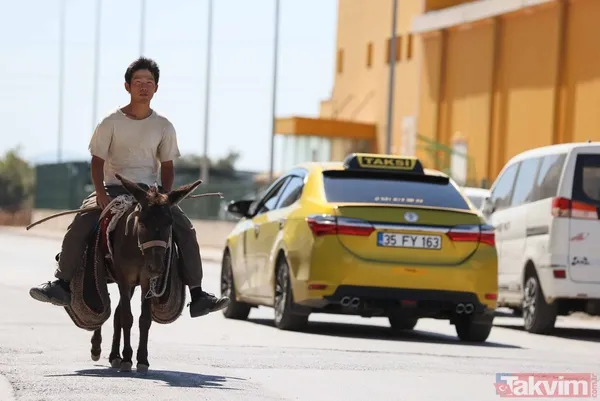 Günün en ilginç haberi: Japon turist Merzifon'dan aldığı eşekle Türkiye'yi gezdi - 1