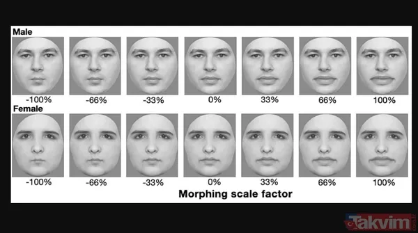 📊 Gençler Ne Düşünüyor? İngiltere Merkezli Save Face Adlı Kuruluşun Gençler Üzerinde Yaptığı Ankette Şu Veriler Öne Çıkıyor: Gençlerin %59'U, Dudak Dolgusu...