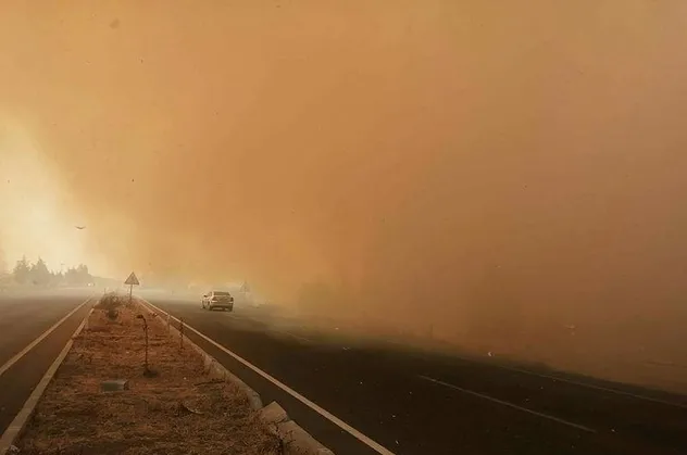Son dakika: İzmir Aliağa'da orman yangını