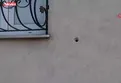 Sokak ortasında silahlı çatışma: 3 yaralı