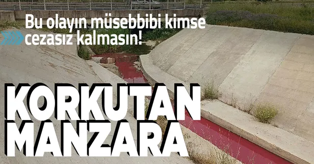 Tekirdağ'da görenleri hayrete düşüren olay! Bir kanalın suyu kırmızı akmaya başladı