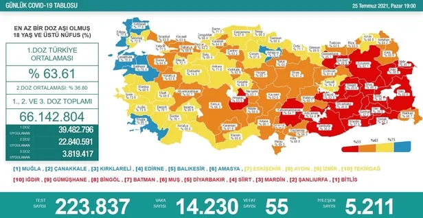 Son dakika: Sağlık Bakanlığı 25 Temmuz 2021 koronavirüs vaka, vefat ve aşı tablosunu paylaştı-1