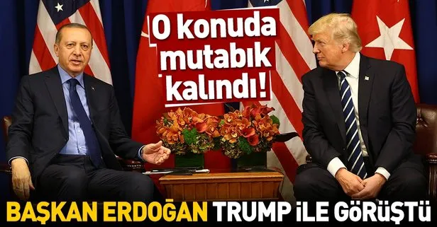 Başkan Erdoğan, Trump ile görüştü