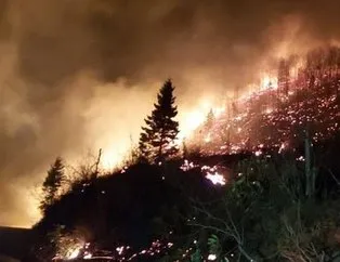 Karadeniz’de 26 noktada orman yangını!