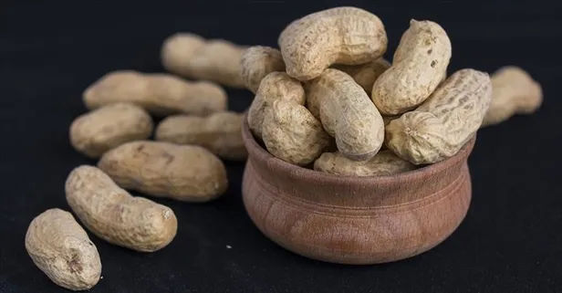E vitamini deposu yer fıstığının faydaları nelerdir?