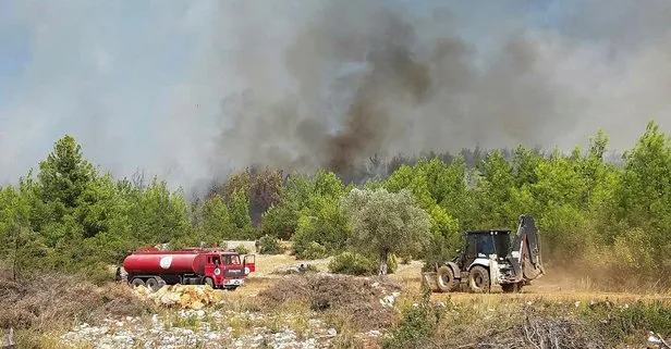Son dakika: Antalya’da orman yangını