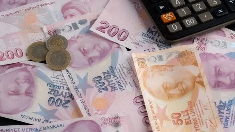 yeni-asgari-ucretle-tum-hesaplar-sil-bastan-1766362176989.jpeg Türk Lirası (AA)