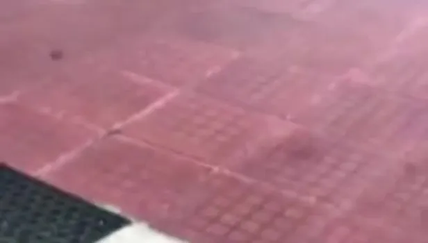 Dehşeti yaşadılar! Her şey bir anda oldu