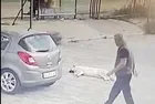 Yolda yatan köpeğin üzerinden arabayla geçen insan müsveddesi yakalandı