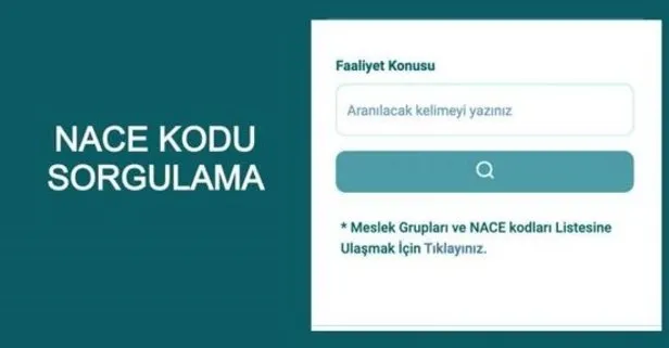 NACE kodu sorgulama: Hangi NACE kodları yasaktan muaf?