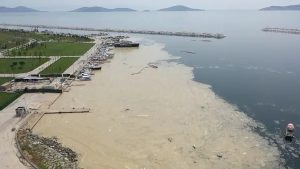 deniz-salyasi-neden-olur-deniz-salyasi-insana-zarar-verir-mi-deniz-salyasi-nerelerde-var-1622998835913.jpg Deniz salyası neden olur? Deniz salyası insana zarar verir mi? Deniz salyası nerelerde var?-2