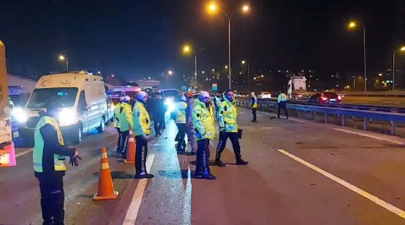 Son dakika: TEM Otoyolu'na giren başıboş sokak köpeği zincirleme kazaya neden oldu: 1'i bebek 12 yaralı-5